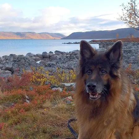 Holiday home Kiiruna By Interhome